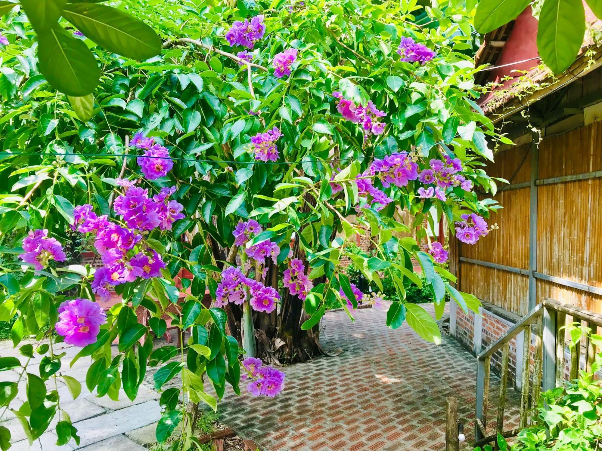 Lake Retreat Ninh Binh Bagian luar foto