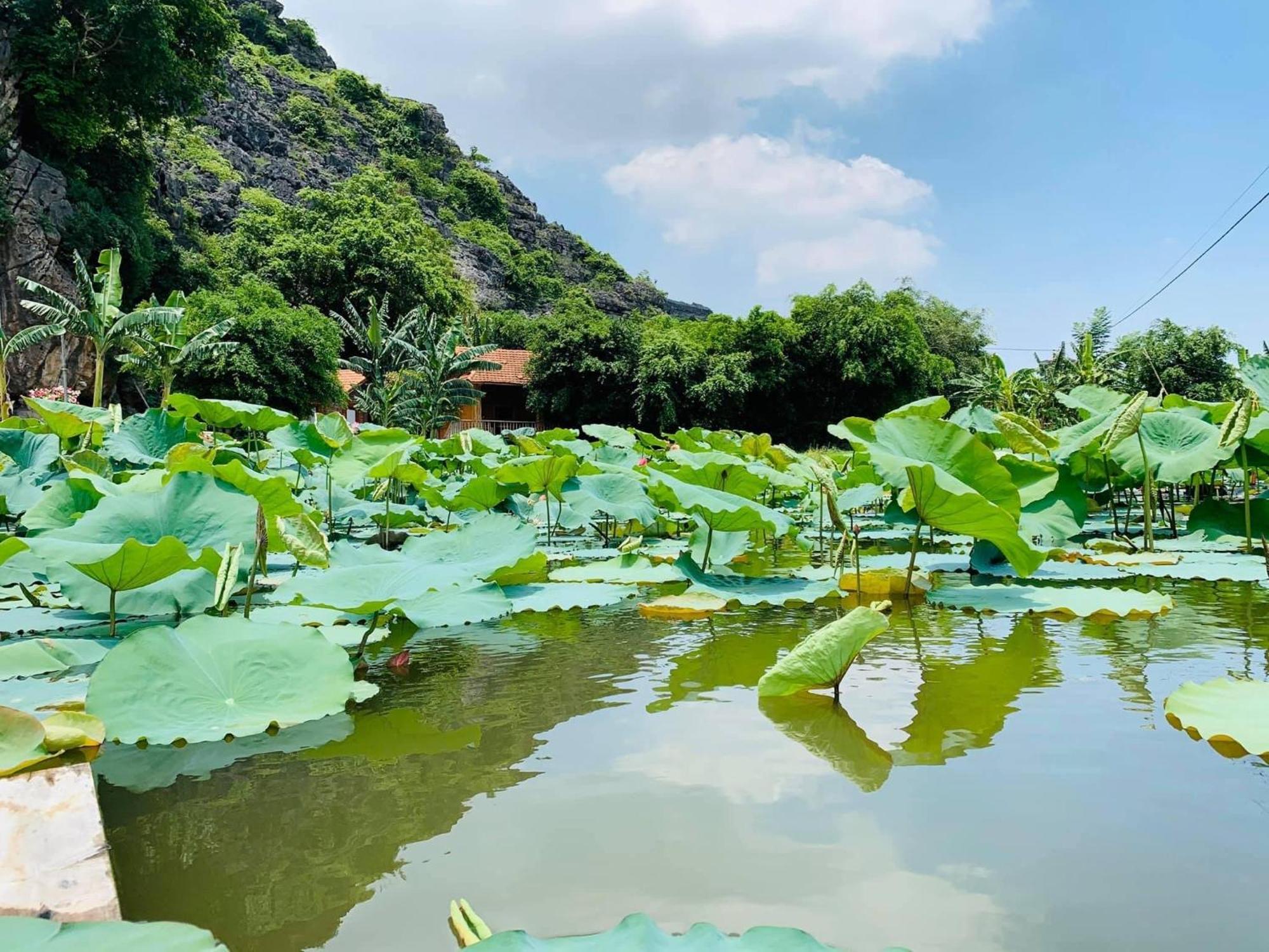 Lake Retreat Ninh Binh Bagian luar foto