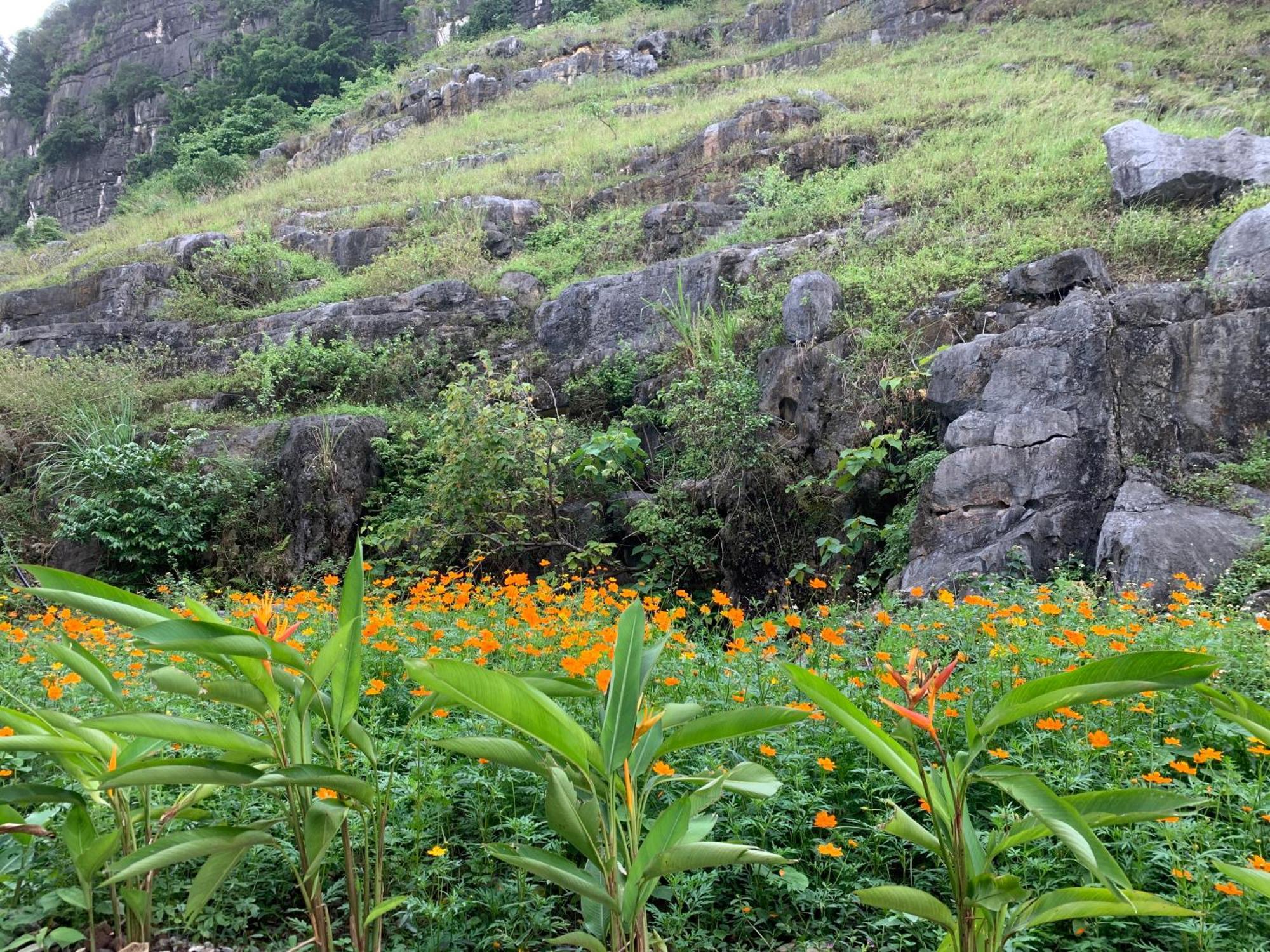 Lake Retreat Ninh Binh Bagian luar foto
